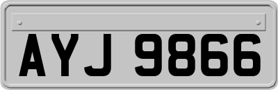 AYJ9866