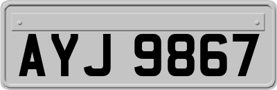 AYJ9867