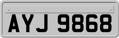 AYJ9868