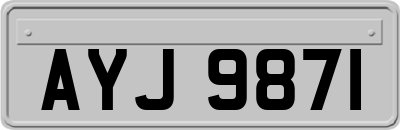 AYJ9871