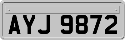 AYJ9872