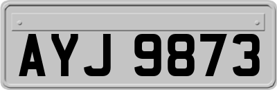AYJ9873