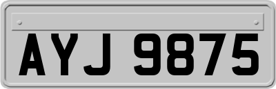 AYJ9875