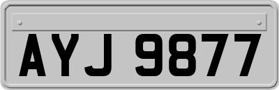 AYJ9877