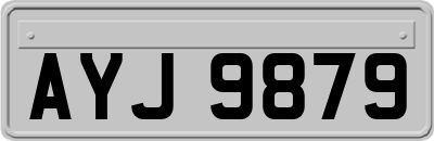 AYJ9879