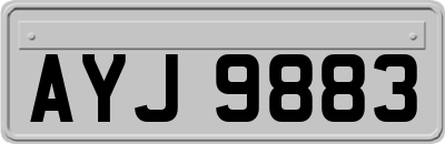 AYJ9883