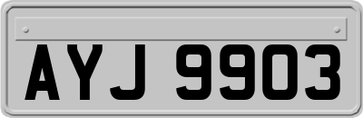 AYJ9903