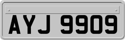 AYJ9909
