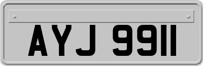 AYJ9911