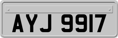 AYJ9917