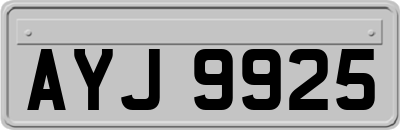 AYJ9925