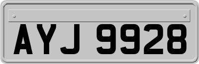 AYJ9928