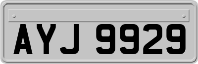 AYJ9929