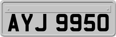 AYJ9950