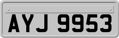 AYJ9953