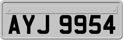 AYJ9954
