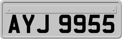 AYJ9955