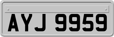 AYJ9959