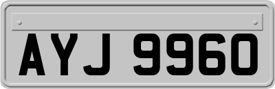 AYJ9960