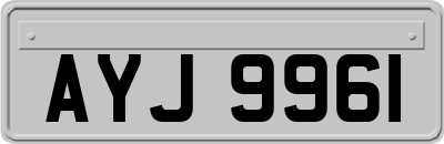 AYJ9961