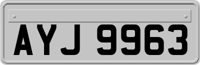 AYJ9963