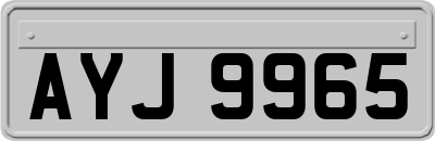 AYJ9965