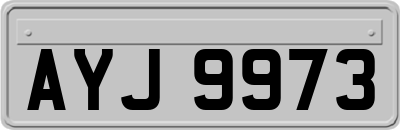 AYJ9973