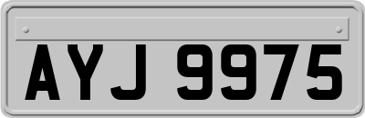 AYJ9975