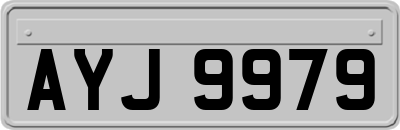 AYJ9979
