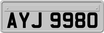 AYJ9980