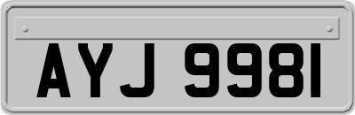 AYJ9981