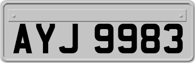 AYJ9983