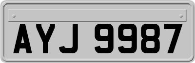 AYJ9987