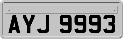 AYJ9993