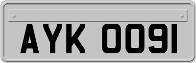 AYK0091