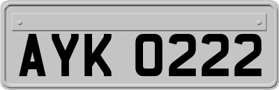 AYK0222