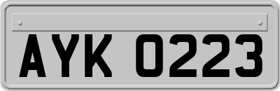 AYK0223