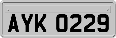 AYK0229