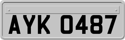 AYK0487