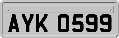 AYK0599
