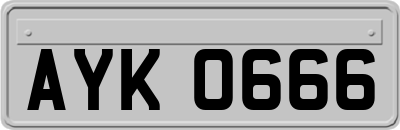 AYK0666