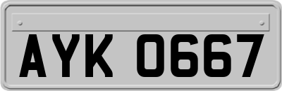 AYK0667