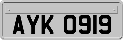 AYK0919