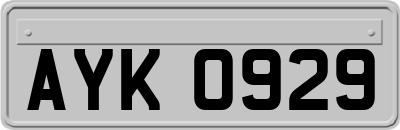 AYK0929