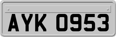 AYK0953