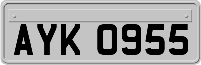 AYK0955