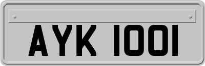 AYK1001