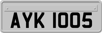 AYK1005