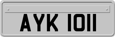 AYK1011