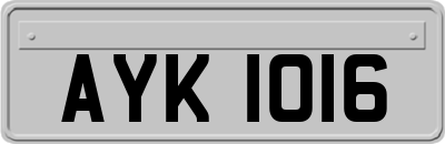 AYK1016